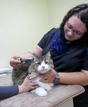 Animal Care Hospital of Morris Inc image 4