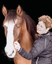 Kinemal Massage und Gesundheitspraxis/ Horseinmotion Pferdephysiotherapie und Futter-Shop Bild 8