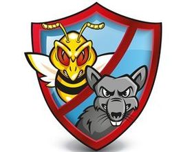 BGGF image 2