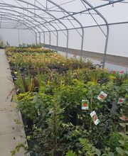 Au Coeur Des Plantes image 5