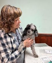 South Franklin Animal Hospital image 7