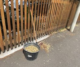 IMG_1633.jpeg