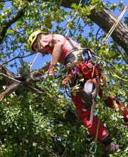 Nicolas Varidel Nature+Jardins Bild 6