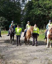 Leenhof Reitschule - Islandpferde Bild 2