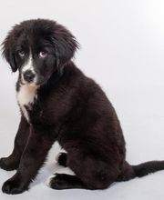 Tierfotografie von Tanja Isecke