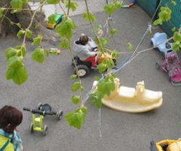 JARDIN DES MARMOTTES image 2