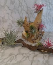 Le Plein Des Sens image 11