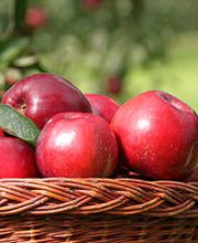 Acorus-Treuhand AG Bild 2