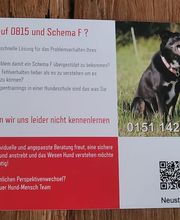 Glückliche Hundepfoten by Catrin Hendl-viel mehr als nur Hundetraining Bild 7