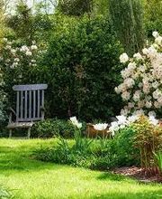 Bislimi Gartenbau AG Bild 2