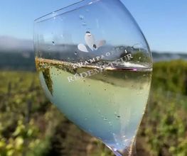 CHAMPAGNE RÉDEMPTEUR image 2