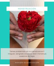 pm-acupuntura imagen 8