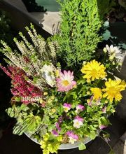 Créastyl'Flor image 6