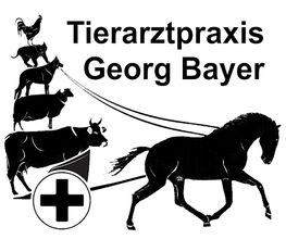 Tierarztpraxis Georg Bayer Bild 1