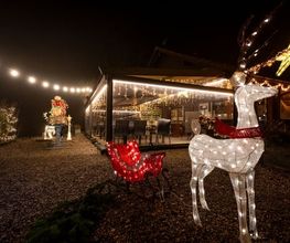Restaurant Fischerhaus Bild 3