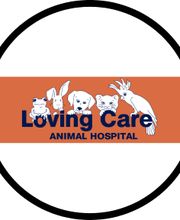 Loving Care Animal Hospital image 4