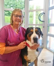 ClinicVet Vétérinaire Etrépagny image 2