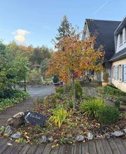 Le jardin de Saint Jean image 8