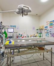 Clinique vétérinaire de Guipavas - Sevetys image 2