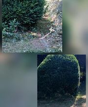 A.B image 6