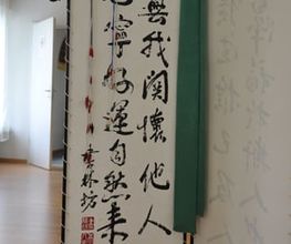 Zentrum für traditionelle chinesische Medizin (TCM) Bild 7