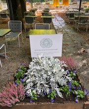 Tschan Gartenbau & Gartenunterhalt GmbH Bild 2