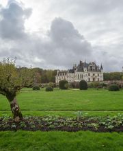 Château Chenonceau image 10