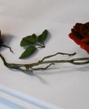 Beerdigungsinstitut Fries Bild 5