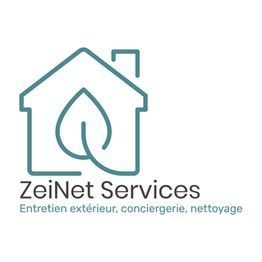 ZeiNet Services logo