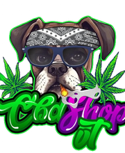 234276426-1-xjs69MJFI91710253620018.png