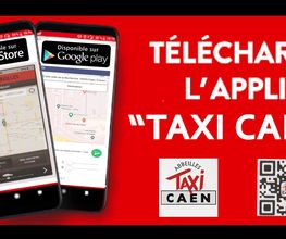 Abbeilles Taxi image 2