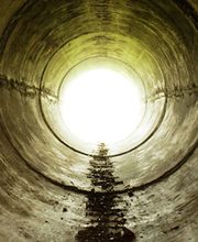 Comte Philippe image 1