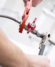 Zulauf Daniel Bild 4