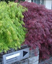 gartengestaltung reusser Bild 4