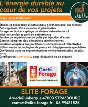 Elite Forage image 6