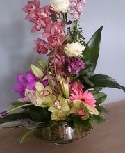 Cosy Garden image 10