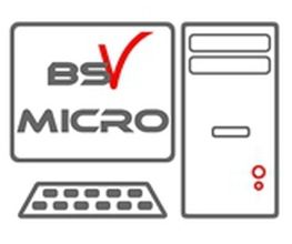 BSV Micro image 1