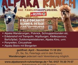 Alpaka Ranch Ruhner Berge Bild 1