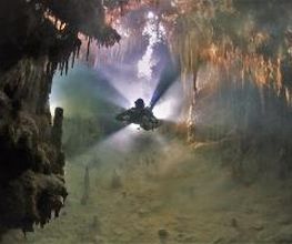 Jaguar Divers - Dive Shop in Playa del Carmen imagen 15