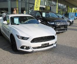 Gräub Auto Center AG Bild 8