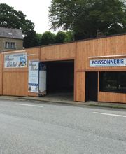 Armor Pesked image 9