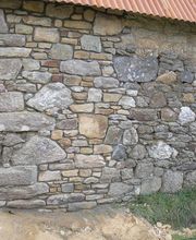 Camus Damien image 13