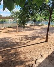 Adiestramiento Córdoba imagen 4