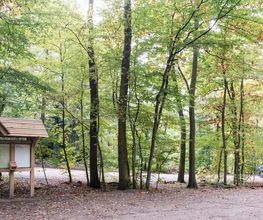 FriedWald Euskirchen Bild 5