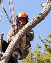 Romu Parcs Et Jardins image 1