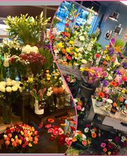 Fleur De Lys image 2