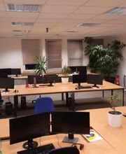 Der Büroraum zeigt acht Arbeitsplätze mit Monitoren, Pflanzen und einem Bild, das von einer Teilnehmerin geschenkt wurde. Ein großer Baum wächst in Herzform, symbolisch für die Art, wie WBS TRAINING Bildung mit Herz vermittelt - offen und freundlich