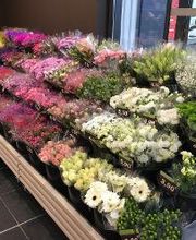 Carrément Fleurs - Fleuriste Carpentras 84 - Livraison de fleurs à domicile image 3