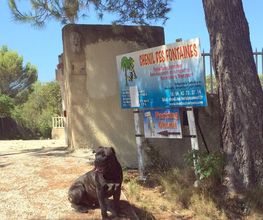 Chenil Des Fontaines image 7