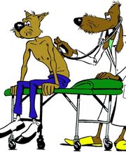 dr. Mazzi Michele Bild 13